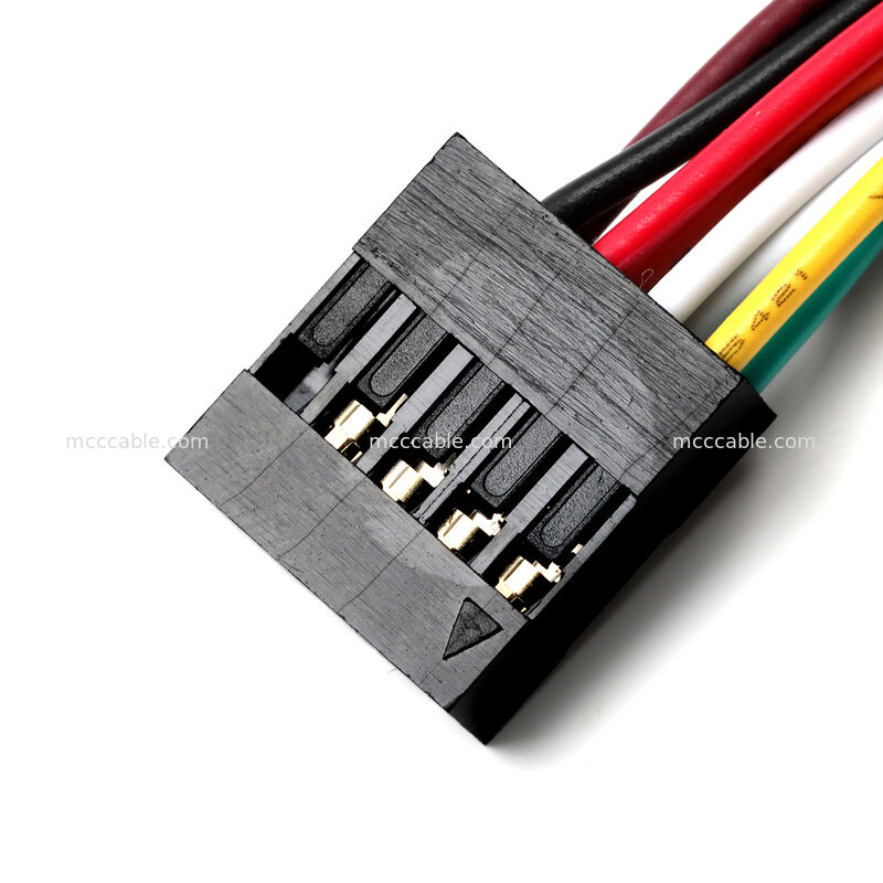কাস্টম OEM অ্যাপ্লিকেশনের জন্য Molex 2.54mm 10-পিন ফ্রন্ট প্যানেল কেবল অ্যাসেম্বলি