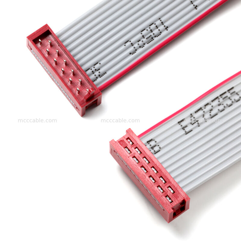 আইডিসি ফ্ল্যাট রিবন কেবল অ্যাসেম্বলি – ২.৫৪ মিমি ডুয়াল-রো সংযোগকারী, কাস্টম ওএম