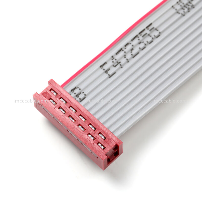 আইডিসি ফ্ল্যাট রিবন কেবল অ্যাসেম্বলি – ২.৫৪ মিমি ডুয়াল-রো সংযোগকারী, কাস্টম ওএম