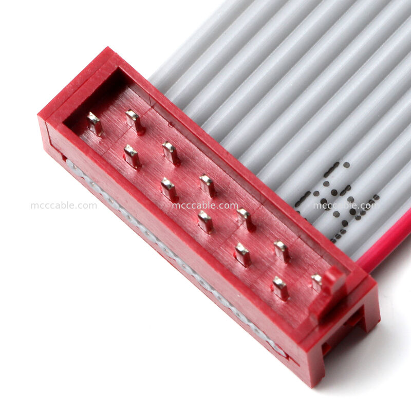 আইডিসি ফ্ল্যাট রিবন কেবল অ্যাসেম্বলি – ২.৫৪ মিমি ডুয়াল-রো সংযোগকারী, কাস্টম ওএম