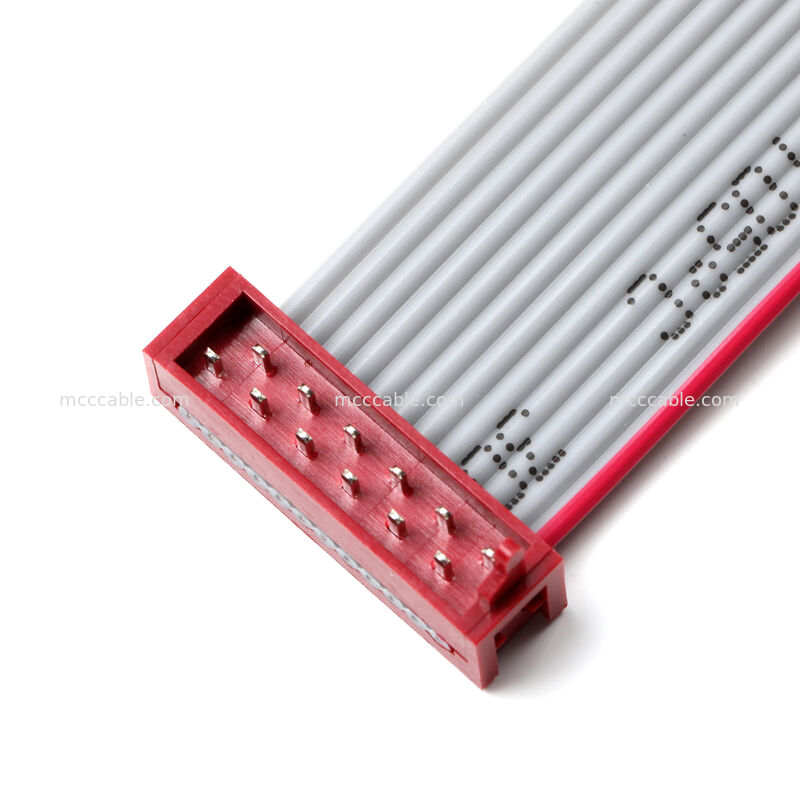 আইডিসি ফ্ল্যাট রিবন কেবল অ্যাসেম্বলি – ২.৫৪ মিমি ডুয়াল-রো সংযোগকারী, কাস্টম ওএম