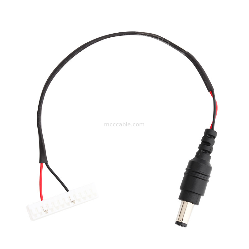 JST EHR-12 DC প্লাগ পাওয়ার কেবল LVDS DC PLUG থেকে 2.5 পিচ lvds 12 পিন সংযোগকারী কেবল